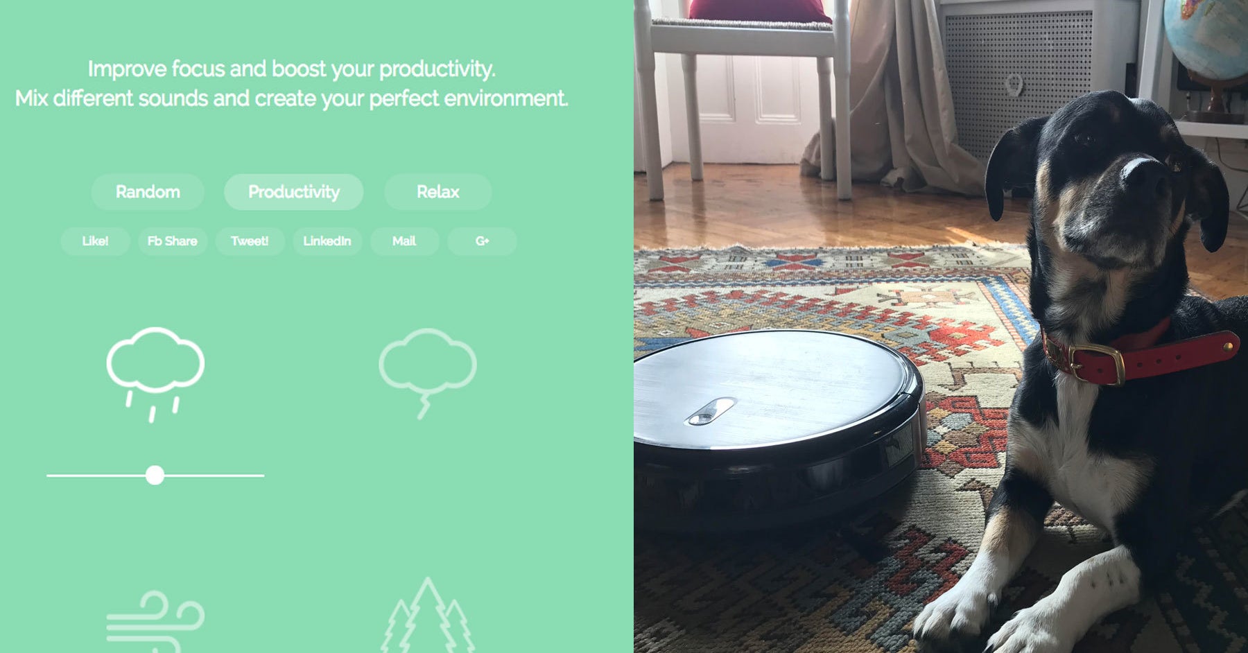 19 Things BuzzFeed Tech Tried And Liked In 2017