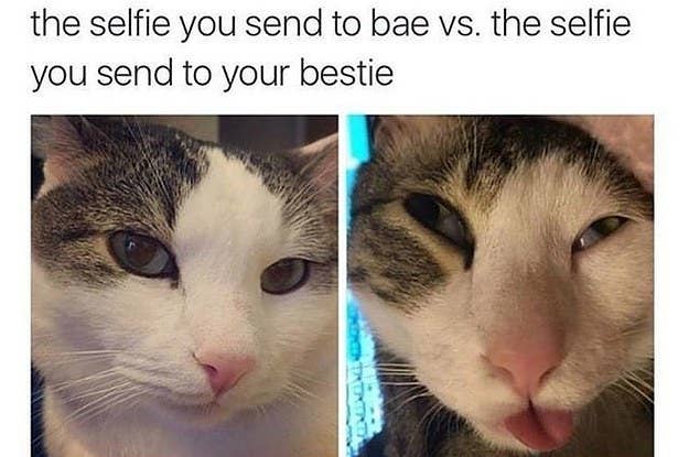 21 Memes Your Boyfriend Needs To See Right Now