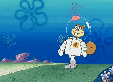 Https Encrypted Tbn0 Gstatic Com Images Q Tbn 3aand9gctbjamsuw5pbgvncbjw687ivjsw2ftoq7edea Usqp Cau