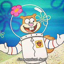 Sandy Cheeks Is The Most Ridiculous Part Of 