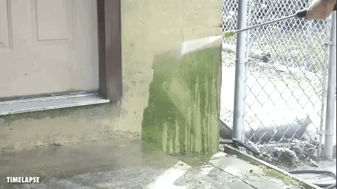 Promising review: "This is my first pressure washer, and I'm very pleased! I wasn't sure what to expect, but I can say this is doing exactly what I wanted. Now I look for things to clean. So far I've done the exterior walls of the house, the driveway, windows, and the car. I feel so much better pulling up to a home without all that moldy crud growing two feet up the walls. I'm terrible at maintenance, and this tool makes it easy, fun, and satisfying." —Kevin and BarbaraGet it from Amazon for $145.72.