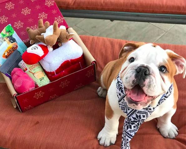 Just 22 Really Good Gifts For Puppies
