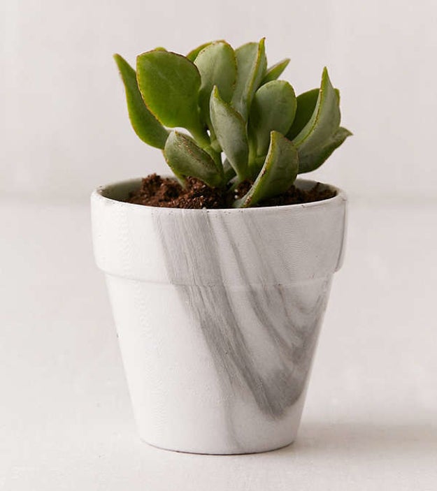 A pretty marble planter to hold their various desk succulents they just have to take care of during work hours.