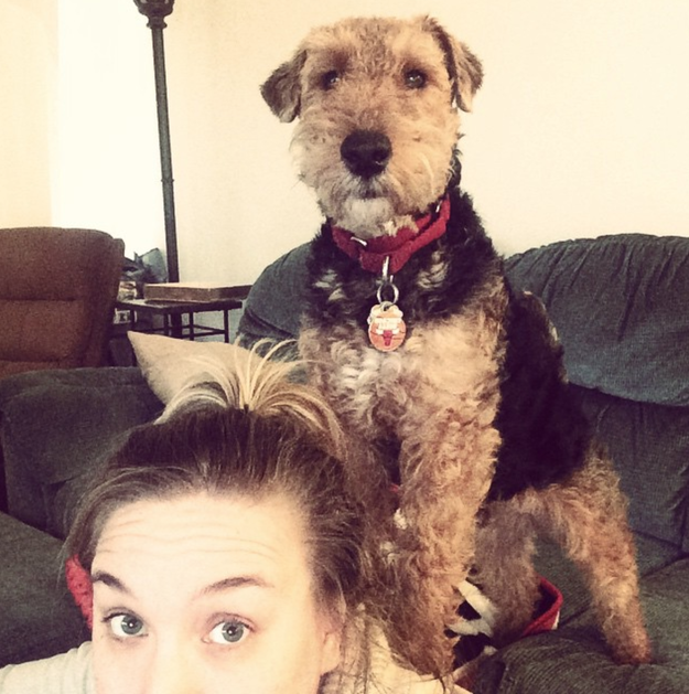 And this dog who is fully prepared to give you a back rub.