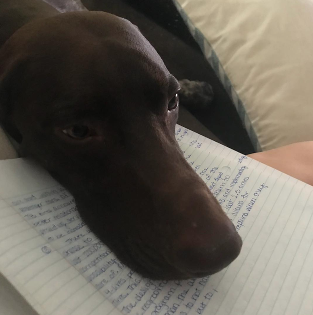 And this dog who really doesn't care what you're writing.