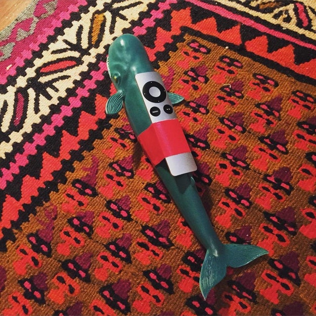 A toy whale: