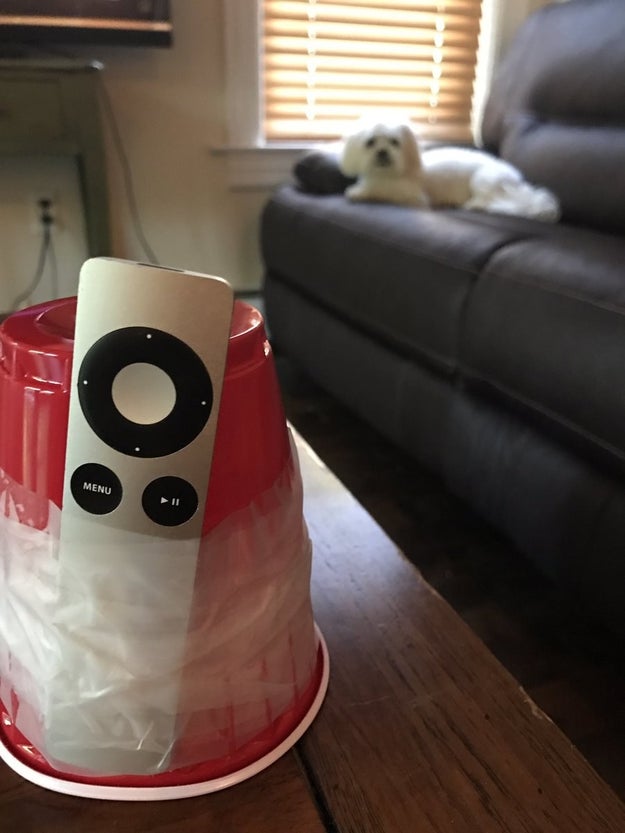 A red Solo cup: