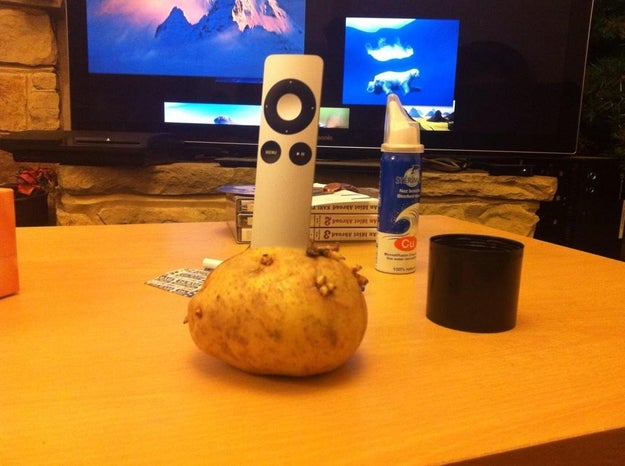 A particularly old potato: