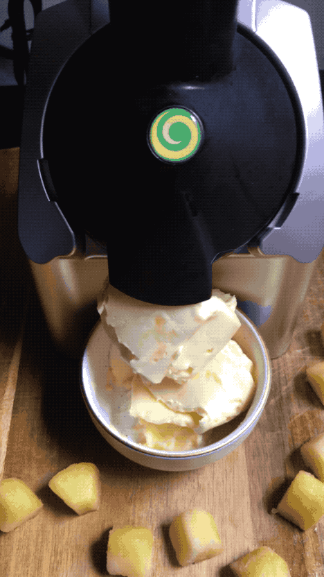 Yonanas Recipes Pineapple | Dandk Organizer