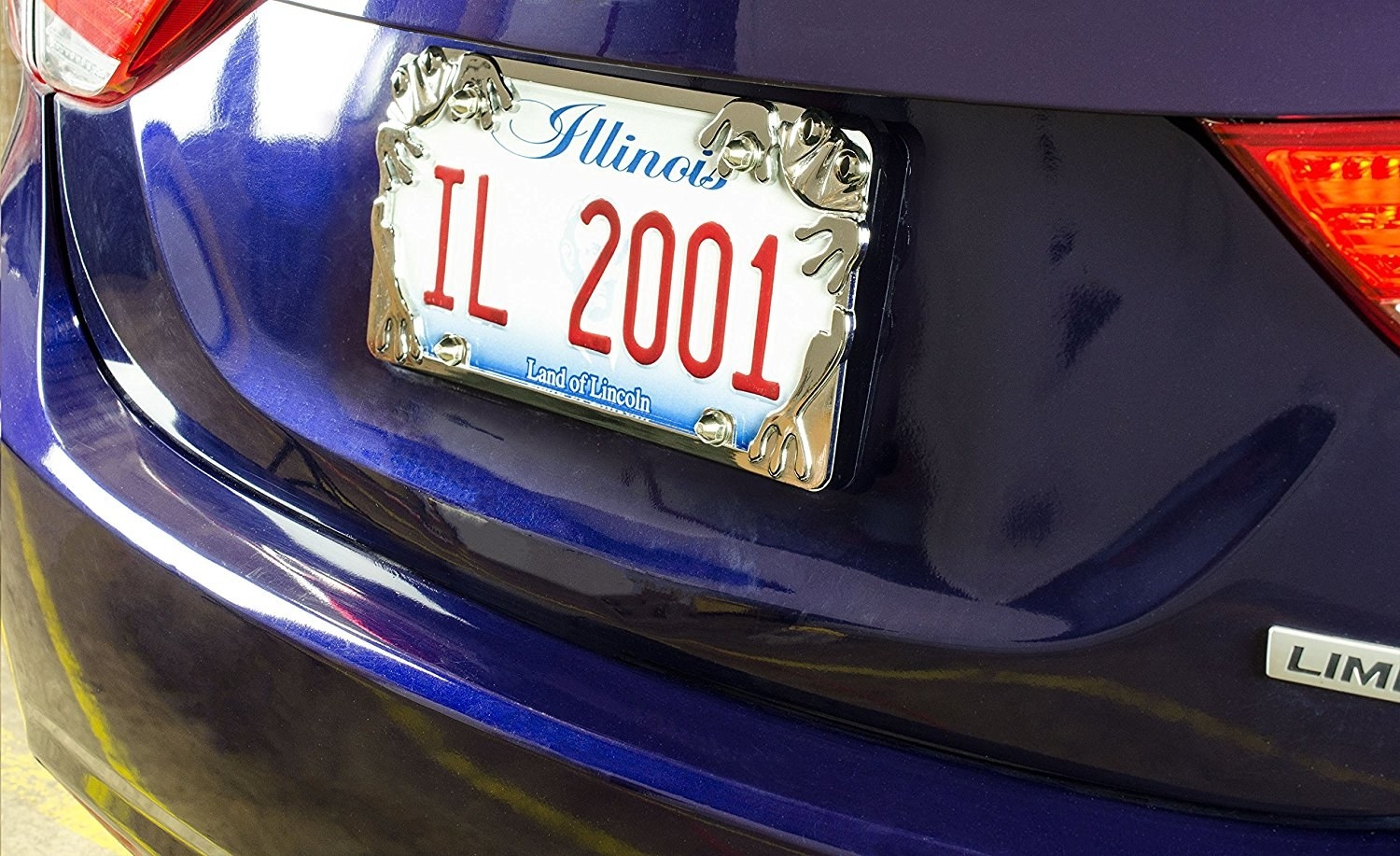 reviewer car with frog license plate