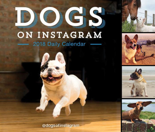 A calendar dedicated to Instafamous dogs, because you know that's what they're really spending all their time looking at.