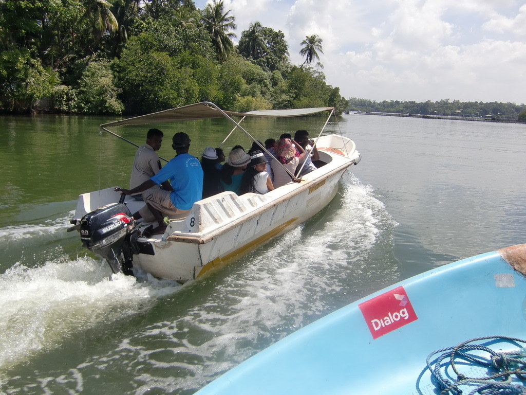Taking an enjoyable safari on the Bentota River will be an experience that will appeal to many visitors. A safari will take you to the well-known local mangrove areas and provide you with the opportunity to observe the attractive natural scenery of the region.
