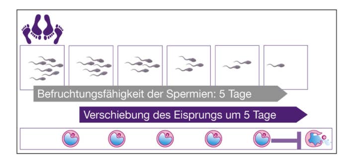 Black Mirror Hat Die Pille Danach Etwas Falsch Verstanden Und