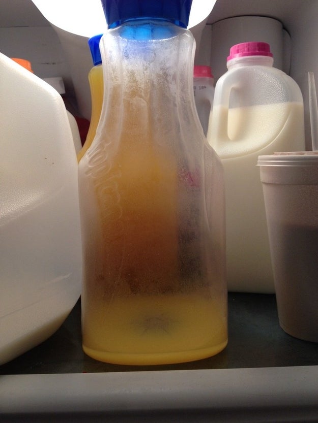 Monsters have even invaded fridges: