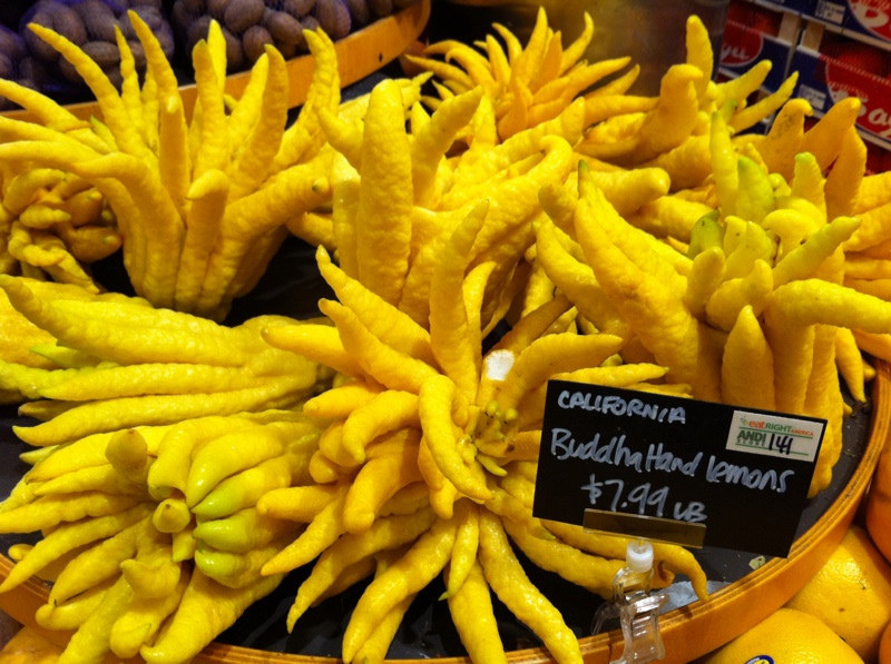This fruit that looks like a hybrid of a lemon and a jellyfish, is actually a citron with a genetic anomaly
