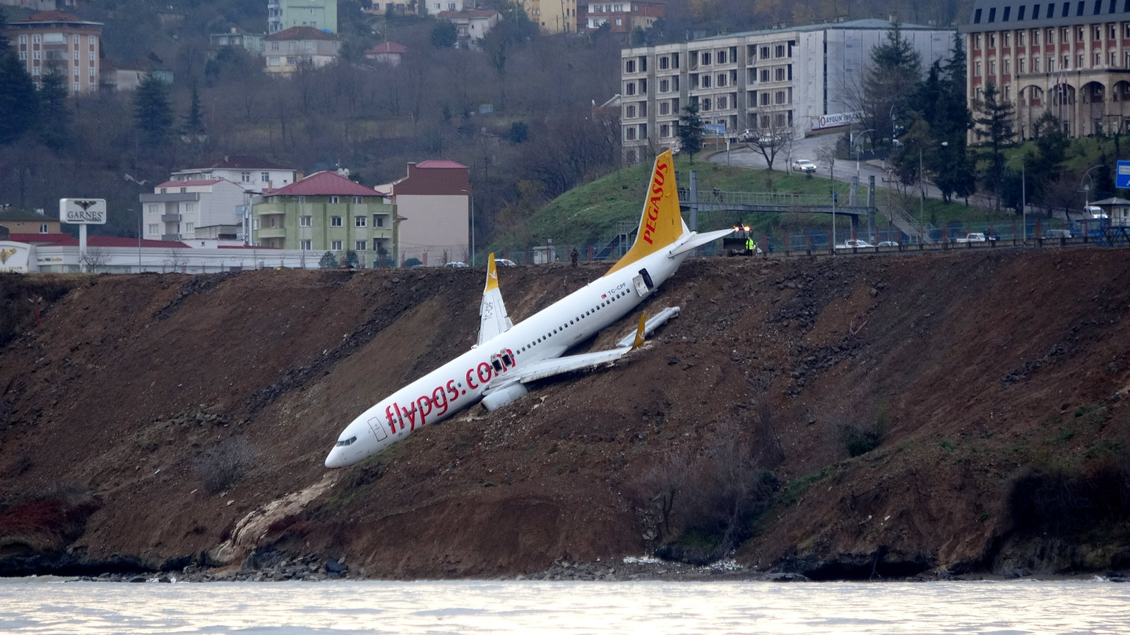 Pegasus airlines фото