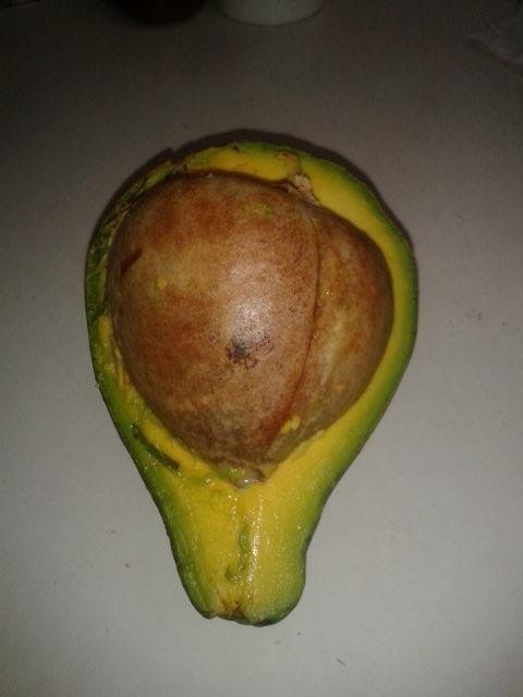 And how does one describe this avocado without the words 
