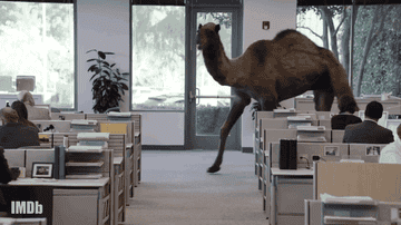 Tap Output Example I Just Learned “This Is Us” Star Chris Sullivan Voiced The Geico Camel ...