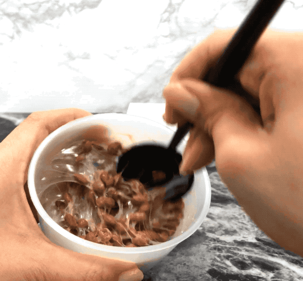 衝撃 バニラアイスをトルコ風アイスにするたった一つの方法 衝撃 バニラアイスをトルコ風アイスにするたった一つの方法