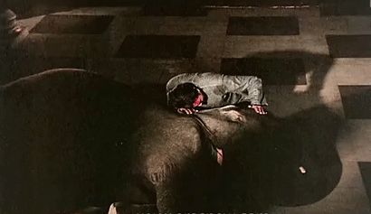 Ramu, a cute elephant sacrifices himself 'cause humans, as usual, are assholes.