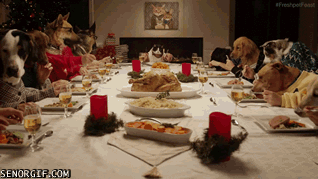 "...todos os anos fazemos um jantar de 'pré Natal', só meus filhos, namorado da minha filha e eu. Tudo foi bem até eu perceber a falta dos meus óculos. Toda a família saiu à procura do perdido, procuramos na lixeira da cozinha, jardim, gaveta de talheres, geladeira e nada. E não é que o bonito estava enroscado na grade do forno do fogão totalmente craquelado!? ...Como tinha o hábito de colocar o óculos no decote da blusa, ao abaixar para tirar o assado do forno, eu o deixei cair. E pra piorar, o forno ficou ligado por mais uns minutos, tempo suficiente pra craquelar as lentes. À partir de então, todos os anos no dias que antecedem ao Natal, é a mesma zoeira: 'e aí mãe, que dia vai ser nosso jantar de tender ao óculos?'"— Madalena Freire