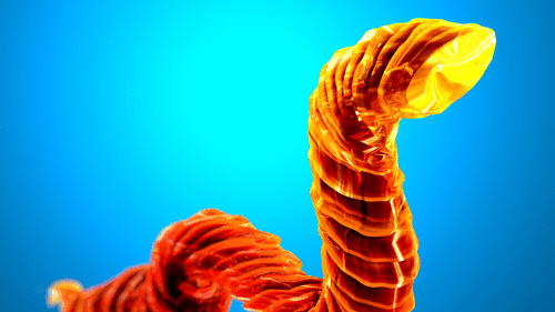 It's still not clear how the man got the tapeworm. He told the doctor he hadn't traveled outside of the country. He did, however, admit to eating raw salmon sashimi on the daily.