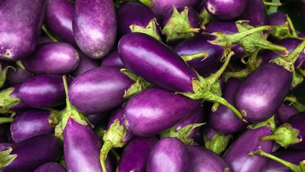 Eggplants contain nicotine.