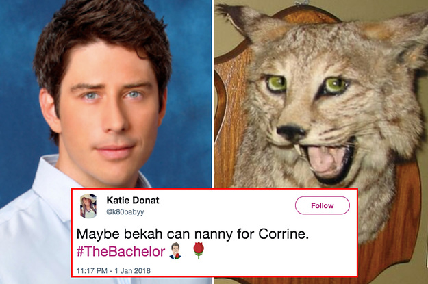 The 21 Funniest Tweets About Last Night's "Bachelor" Premiere