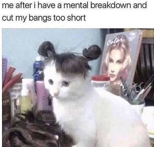 22 Memes You Ll Chuckle At If You Ve Ever Had Hair That Goes Past Your Ears