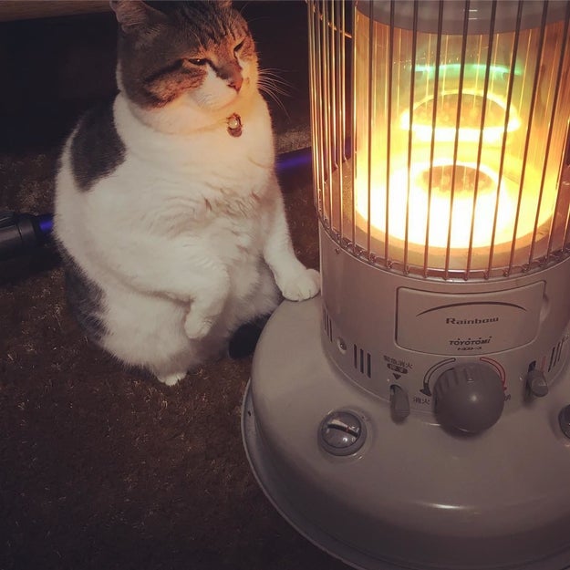 He personally enjoys staring into the electric coils of his heater...