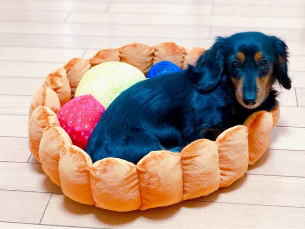 This Fruit Tart Cat Bed Is The Single Most Instagramable Thing