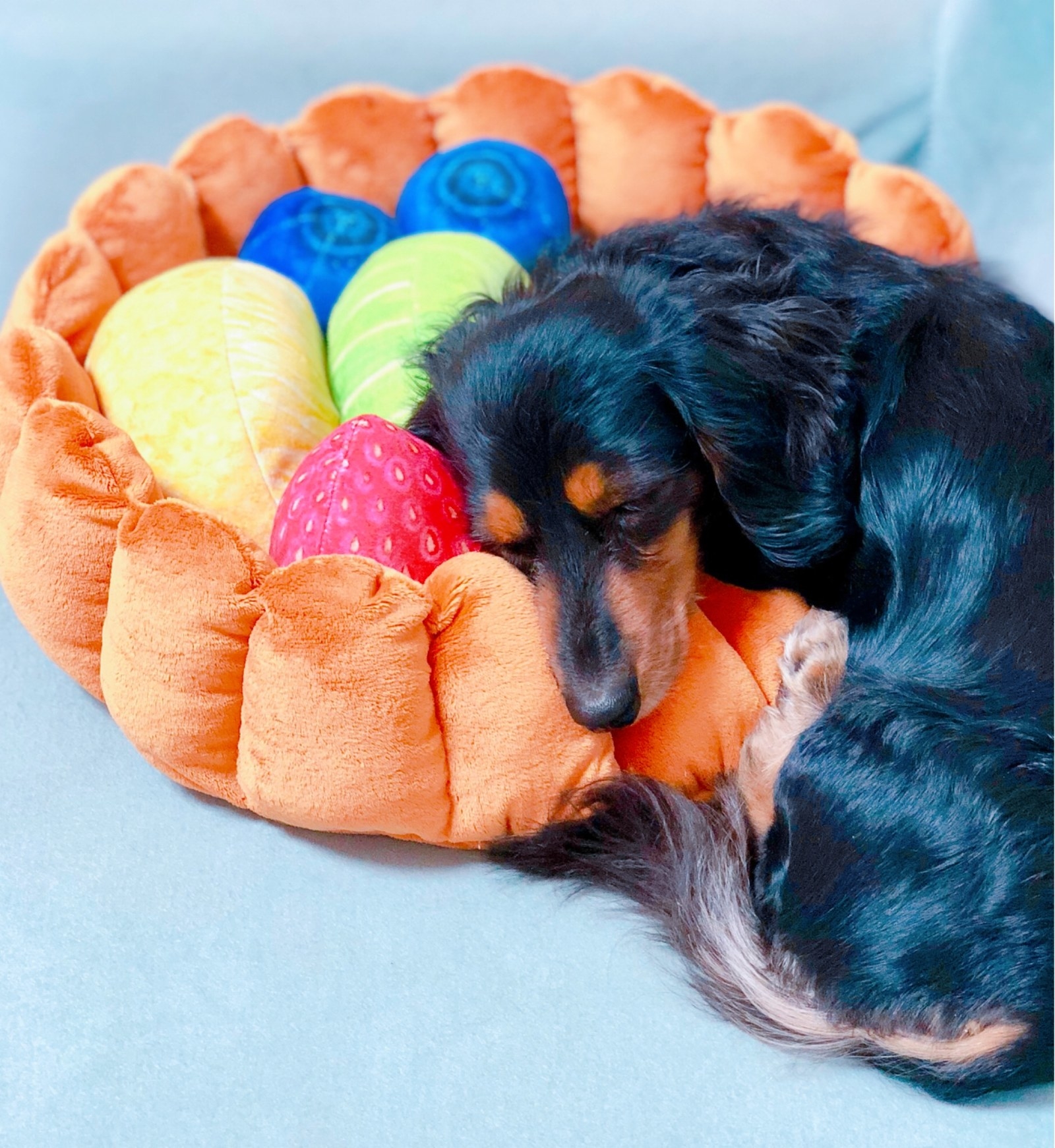 Fruit tart on sale cat bed uk