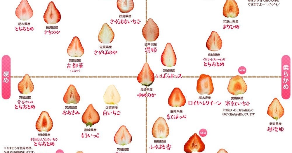 苺好きにはたまらない 全国39品目の 苺の断面図 を網羅したカタログがすごい