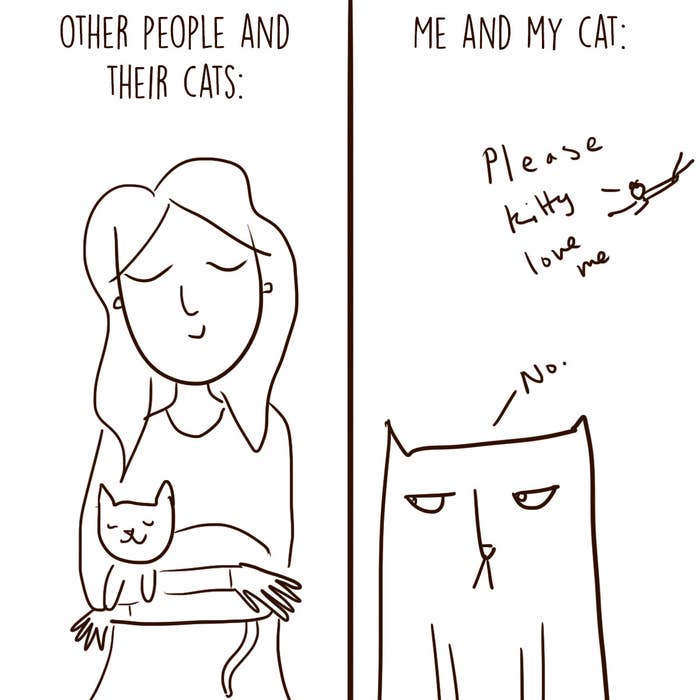 19 Arguments Every Cat Owner Has Had With Their Cat