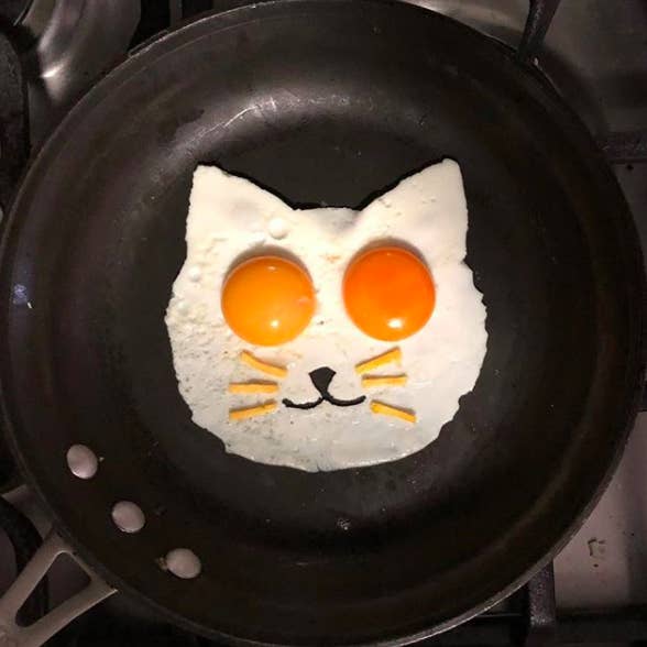 "I started posting on my personal Instagram and decided to make an account just for eggs last October," he said. "At first, just my friends and family followed, but I cannot believe how much it’s grown."