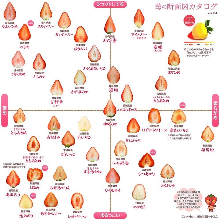 苺好きにはたまらない 全国39品目の 苺の断面図 を網羅したカタログがすごい