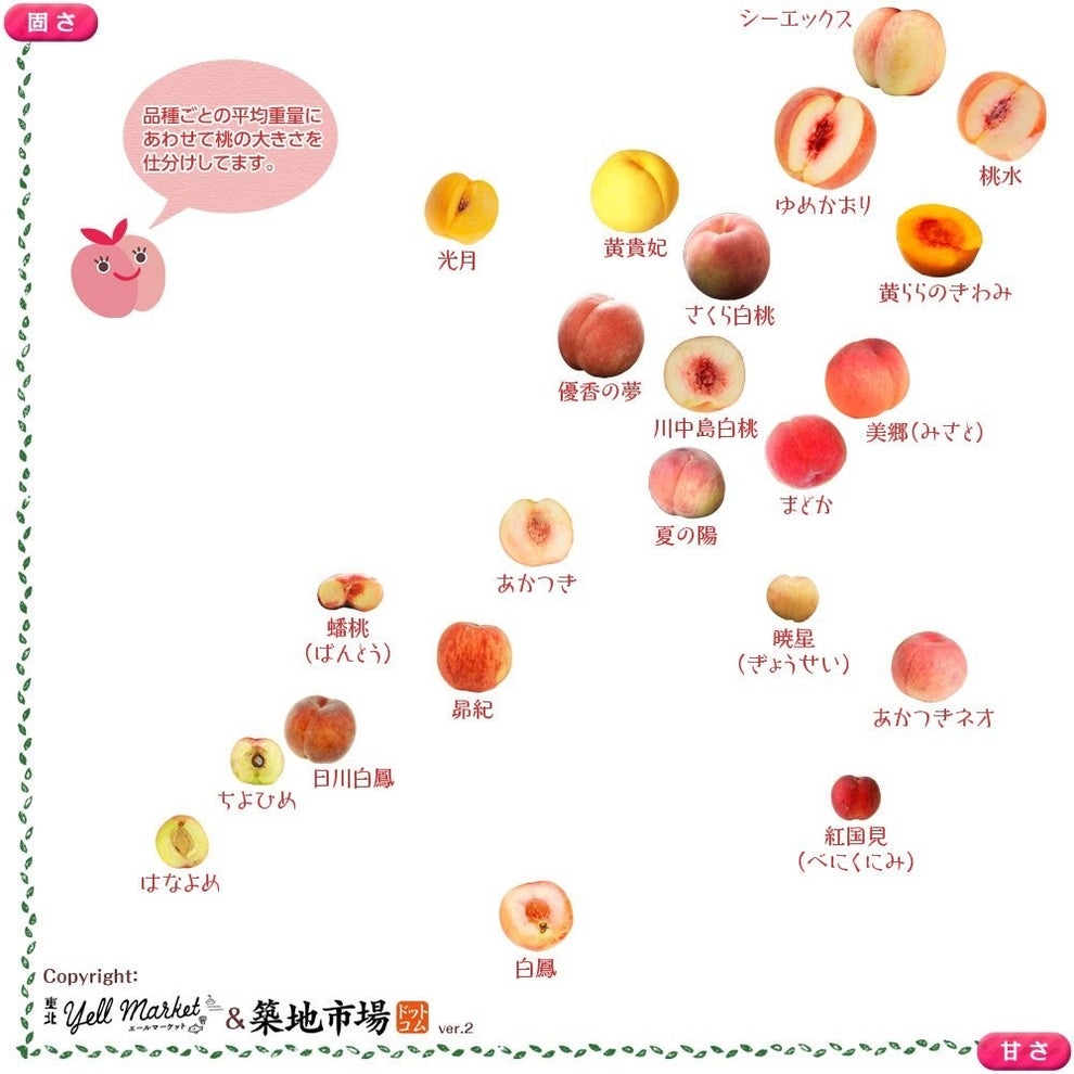 苺好きにはたまらない 全国39品目の 苺の断面図 を網羅したカタログがすごい