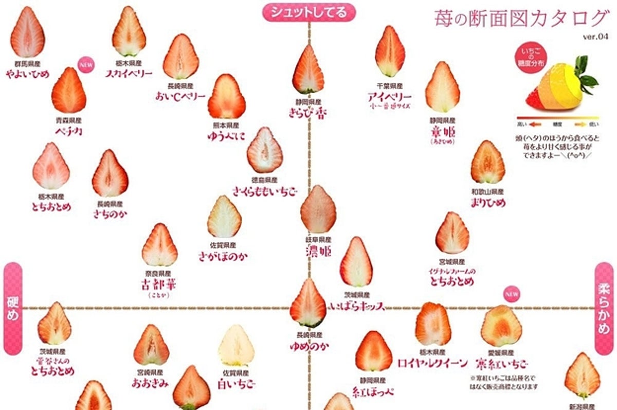 苺好きにはたまらない 全国39品目の 苺の断面図 を網羅したカタログがすごい