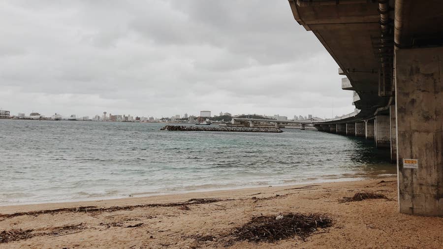 冬の海に行っても することない なんて思ってない