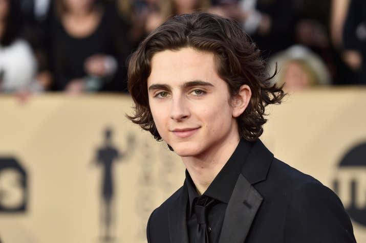 En Llámame por tu nombre como Elio Perlman (papel que también le consiguió una nominación a Mejor Actor) y como Kyle Scheible en Lady Bird.