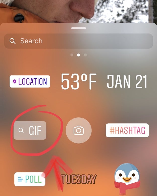 You should see a new option for "GIF."