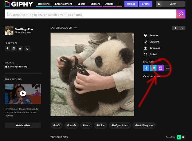 On Giphy.com, click on any GIF and select the Instagram share button, then enter your email address.