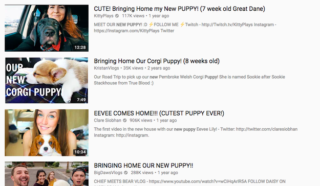 Your YouTube homepage is all funny dog video compilations...