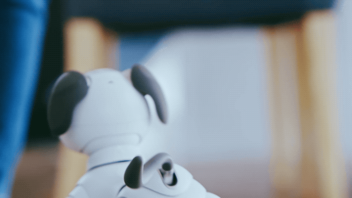 「前のAIBOのプレッシャーはありました。進化感を出したかったんです。丁度、時代も相まって、AIやメカロトロニクスの技術が飛躍的に伸び、できることが増えました。これによって機敏な動きができるようになっています」（松井さん）