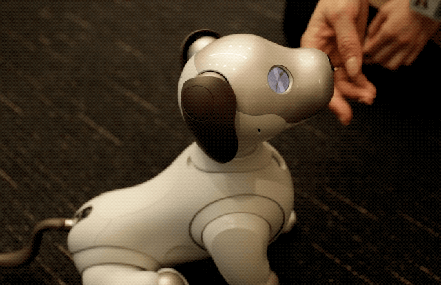 モーションデザインチームは、実際の動物の仕草や振る舞いを研究したそうです。四肢の動きはもちろん、目の表情、泣き声まで専門部隊がデザインしています。微細な感情を表現するために、瞳には2枚の有機ELが使われています。