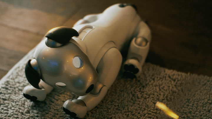 aiboにとって、起動は目覚め。だから「眠たそうにする」ことに注力したそうです。寝起きの雰囲気は、犬を観察しつくしてモーションデザインしました。