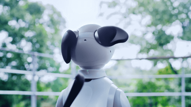 愛され仕草を、高度な技術で身につけたaiboは、度々「不気味の谷を超えるのか？」と言われます。でもどうやら、その意図は本意ではない模様。「生物をコピーしたものではないんです。ある意味、勝てないとわかっているので。aiboは犬ではなくてaibo。だから逆に、犬にはない"aiboだからできること"があるんです」（松井さん）