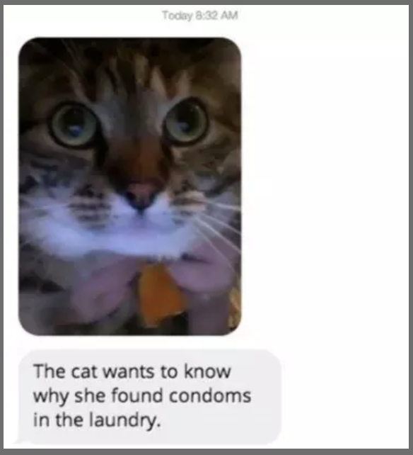 This disappointed parent (and cat) who found condoms in their daughter's laundry: