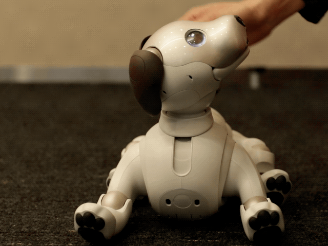 また、aiboはアップデートができるため、機能改善が見込めます。今、要望として多いのは、「みまもり機能」と「知育関係」。「aiboの鼻先にはカメラがついているので、予定は決まっていないものの技術的には、みまもり機能は搭載できます」AIBOは、開発者キット「OPEN-R」を無償で提供していた実績もあります。各々の開発者たちが、「AIBOはこうしたらもっとよくなる！」と、機能拡張することができたんです。「AIBOがそうだったように、aiboもいずれ開発者キットを配布できればと考えています。そこで、新たな可能性が生まれてくることを望んでいるので」