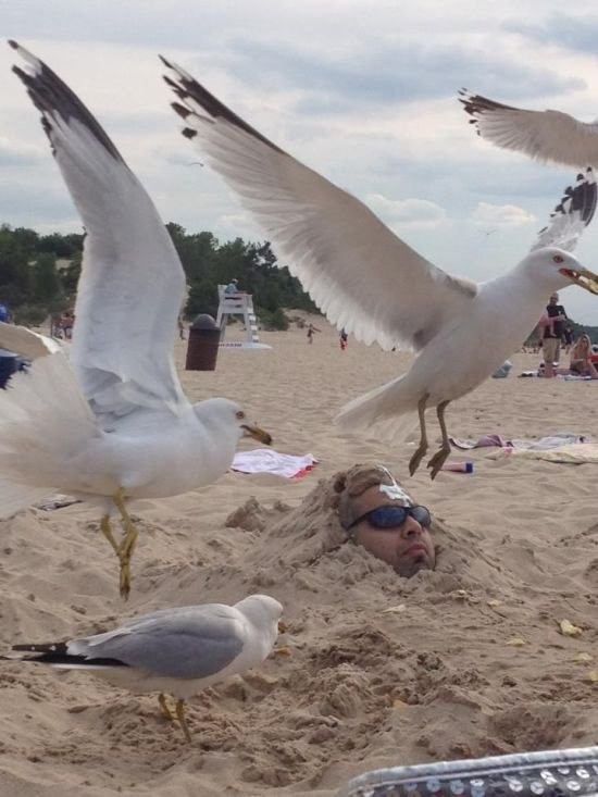 This guy's beach day looks......shitty.